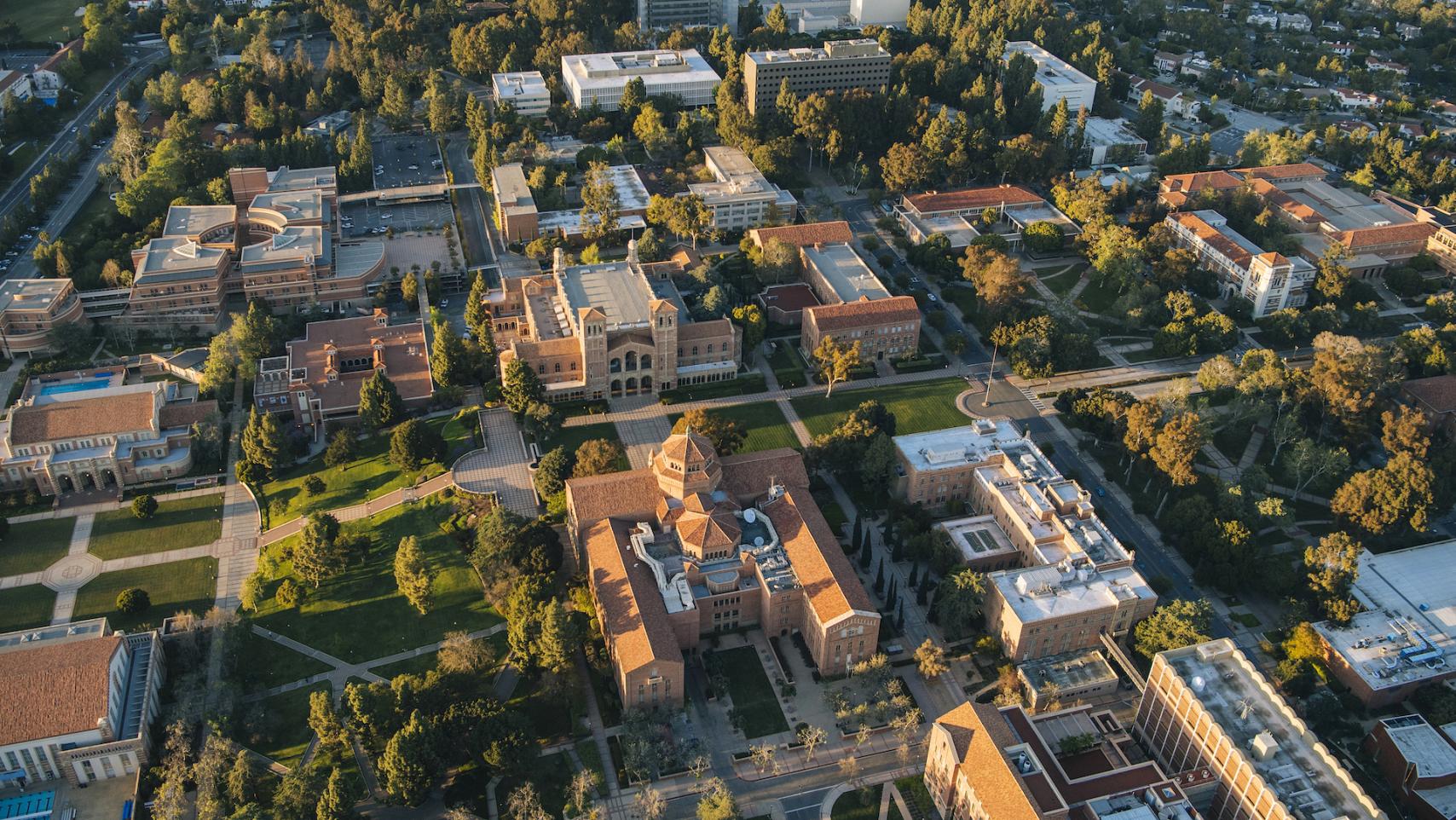 UCLA top overview